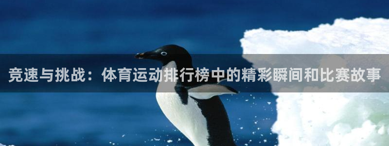 竞速与挑战：体育运动排行榜中的精彩瞬间和比赛故事