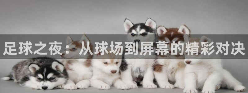 足球之夜：从球场到屏幕的精彩对决