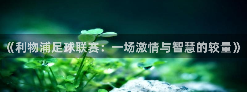 《利物浦足球联赛：一场激情与智慧的较量》