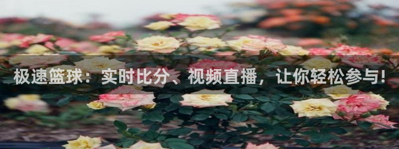 极速篮球：实时比分、视频直播，让你轻松参与!