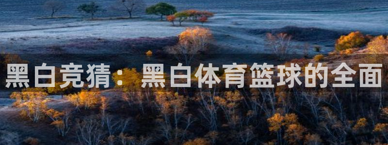 黑白竞猜：黑白体育篮球的全面