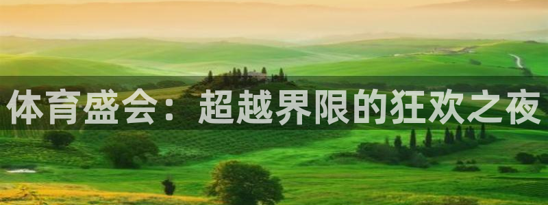 体育盛会：超越界限的狂欢之夜