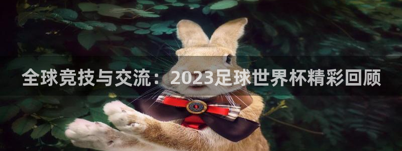 全球竞技与交流：2023足球世界杯精彩回顾
