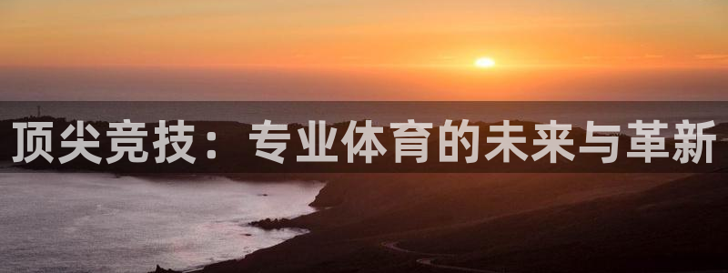 顶尖竞技：专业体育的未来与革新
