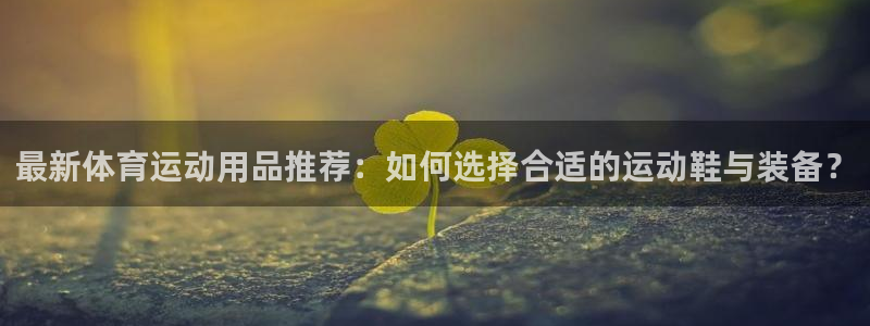 最新体育运动用品推荐：如何选择合适的运动鞋与装备？