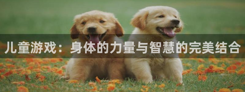 儿童游戏：身体的力量与智慧的完美结合