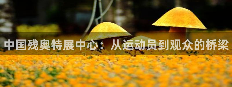 中国残奥特展中心：从运动员到观众的桥梁