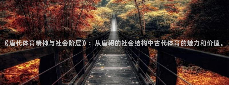 《唐代体育精神与社会阶层》：从唐朝的社会结构中古代体育的魅力和价值。