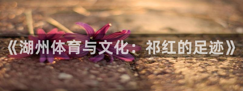 《湖州体育与文化：祁红的足迹》