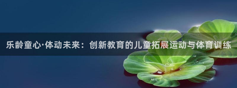乐龄童心·体动未来：创新教育的儿童拓展运动与体育训练