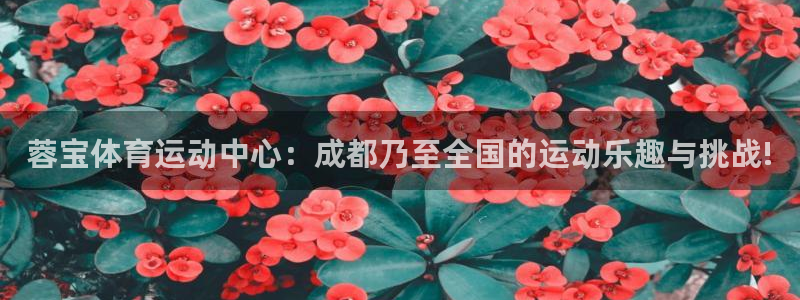 蓉宝体育运动中心：成都乃至全国的运动乐趣与挑战!