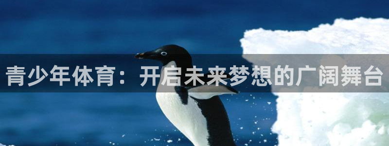 青少年体育：开启未来梦想的广阔舞台