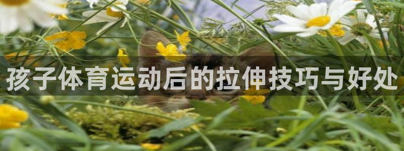 孩子体育运动后的拉伸技巧与好处