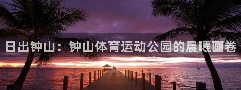 日出钟山：钟山体育运动公园的晨曦画卷