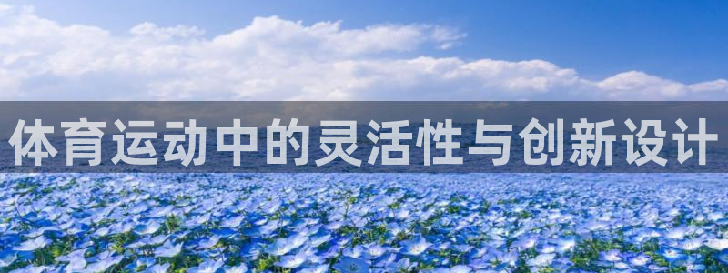 体育运动中的灵活性与创新设计