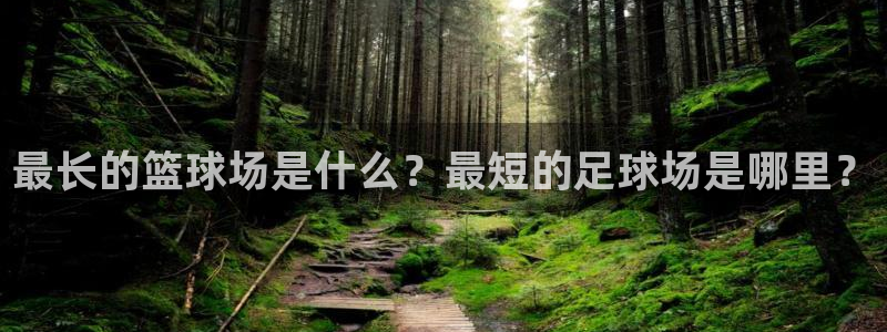 最长的篮球场是什么？最短的足球场是哪里？