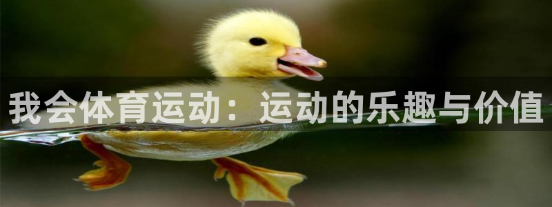 我会体育运动：运动的乐趣与价值