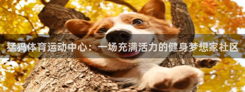猛犸体育运动中心：一场充满活力的健身梦想家社区