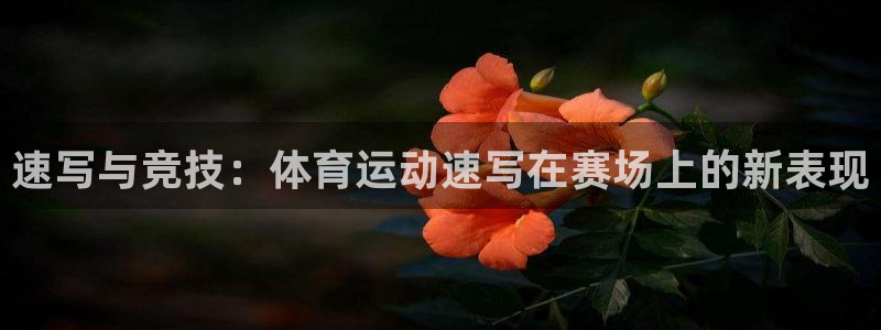 速写与竞技：体育运动速写在赛场上的新表现