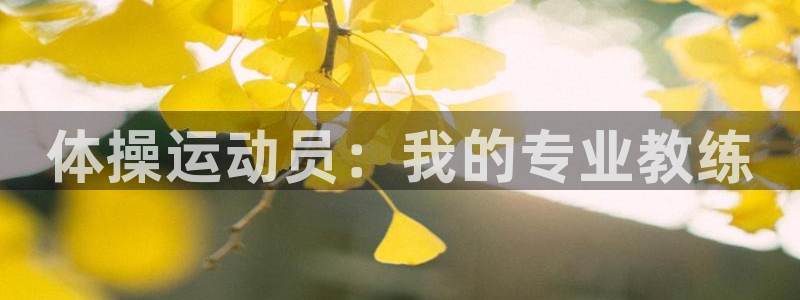 体操运动员：我的专业教练