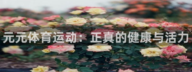元元体育运动：正真的健康与活力
