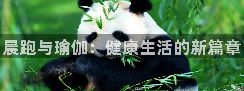 晨跑与瑜伽：健康生活的新篇章