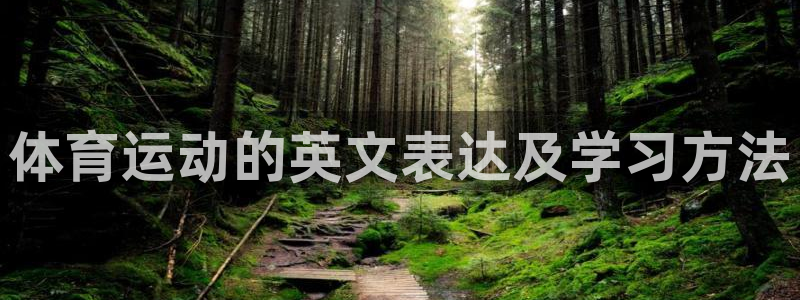 体育运动的英文表达及学习方法