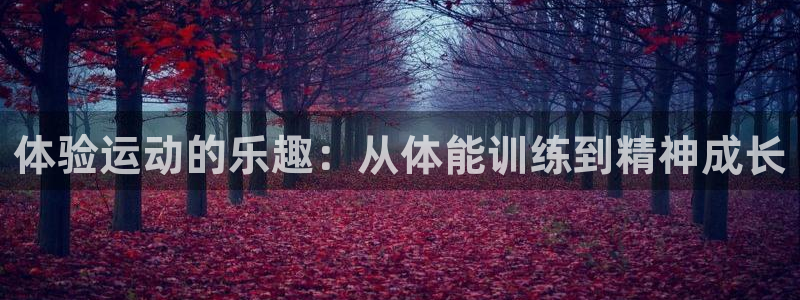 体验运动的乐趣：从体能训练到精神成长