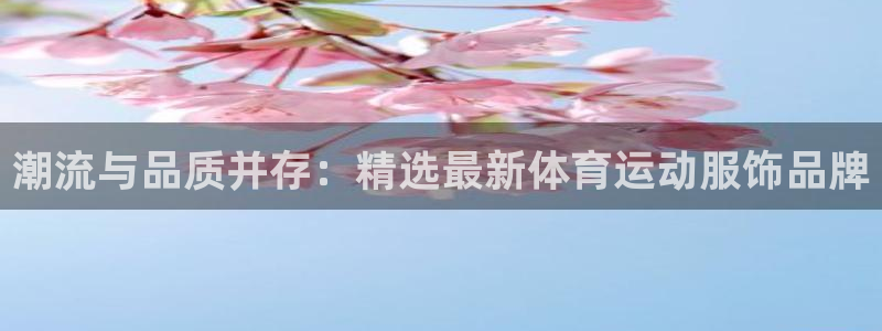 潮流与品质并存：精选最新体育运动服饰品牌