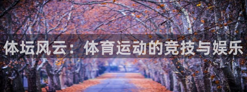 体坛风云：体育运动的竞技与娱乐
