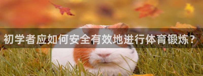 初学者应如何安全有效地进行体育锻炼？