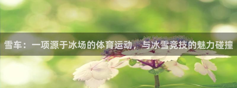 雪车：一项源于冰场的体育运动，与冰雪竞技的魅力碰撞
