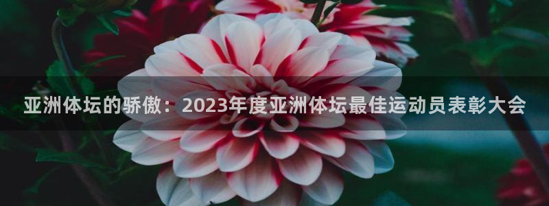 亚洲体坛的骄傲：2023年度亚洲体坛最佳运动员表彰大会