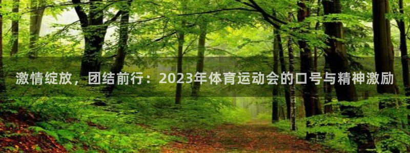 激情绽放，团结前行：2023年体育运动会的口号与精神激励
