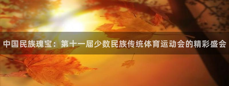 中国民族瑰宝：第十一届少数民族传统体育运动会的精彩盛会