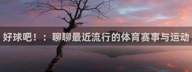 好球吧！：聊聊最近流行的体育赛事与运动