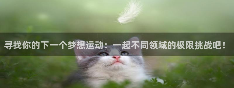 寻找你的下一个梦想运动：一起不同领域的极限挑战吧！