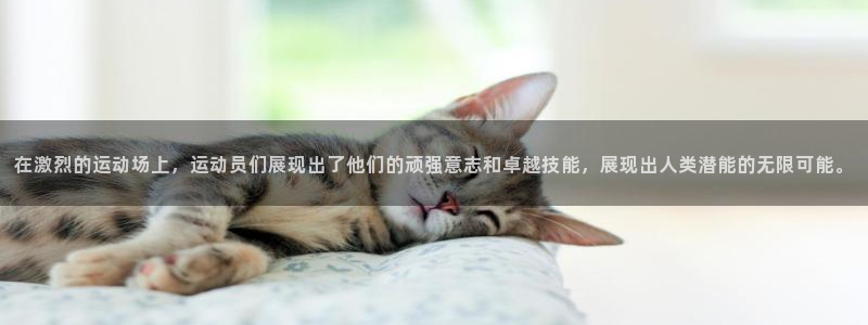在激烈的运动场上，运动员们展现出了他们的顽强意志和卓越技能，展现出人类潜能的无限可能。