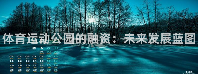 体育运动公园的融资：未来发展蓝图