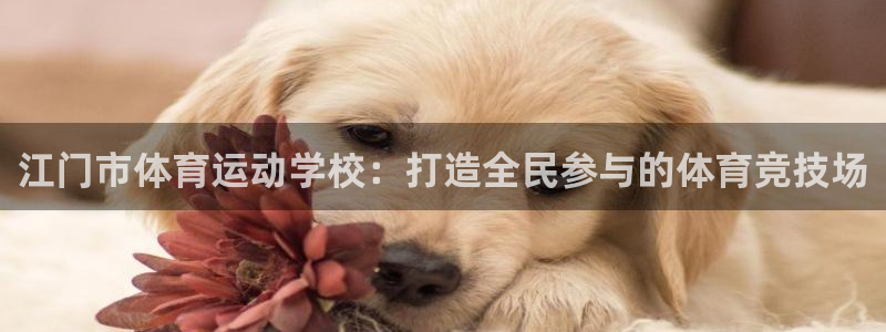 江门市体育运动学校：打造全民参与的体育竞技场