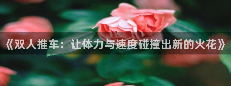 《双人推车：让体力与速度碰撞出新的火花》