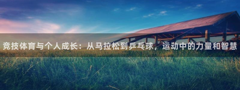 竞技体育与个人成长：从马拉松到乒乓球，运动中的力量和智慧
