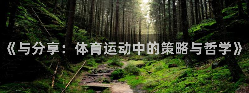 《与分享：体育运动中的策略与哲学》