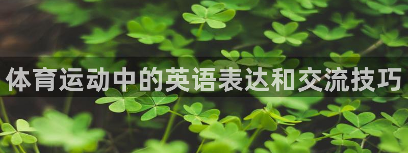体育运动中的英语表达和交流技巧