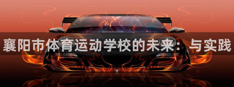 襄阳市体育运动学校的未来：与实践