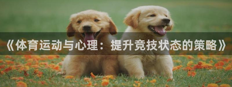 《体育运动与心理：提升竞技状态的策略》