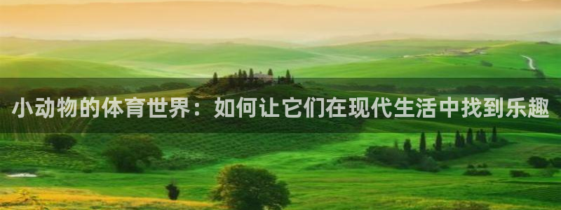 小动物的体育世界：如何让它们在现代生活中找到乐趣